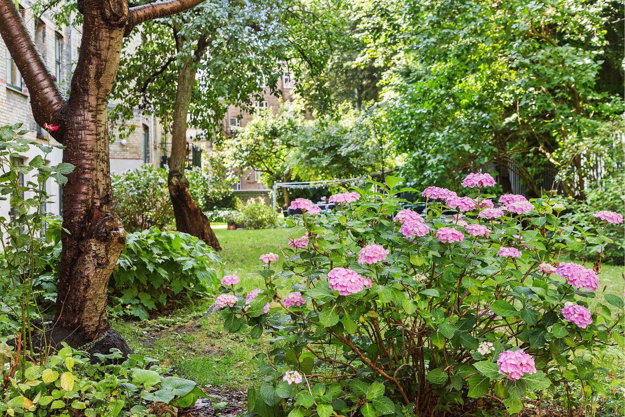 image 04
